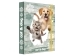 JUNIOR Box na zošity A5 s gumičkou, Jumbo MAX dizajn Cat & Dog